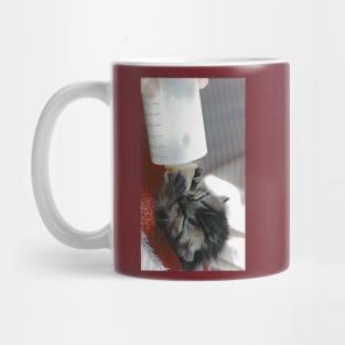 New photo de  " Zazou " Cat - Chat  4 (c)(t)  Olao-Olavia / Okaio Créations Mug